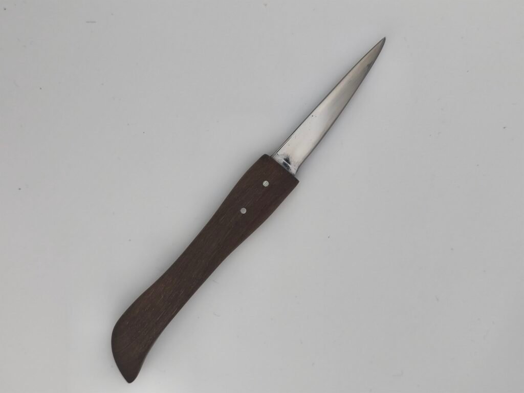 Couteau scalpel artisanal en acier sandwich NCV60/304L avec manche en noyer stabilisé